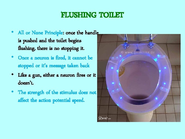 FLUSHING TOILET • All or None Principle: once the handle is pushed and the