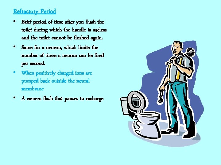 Refractory Period • Brief period of time after you flush the toilet during which