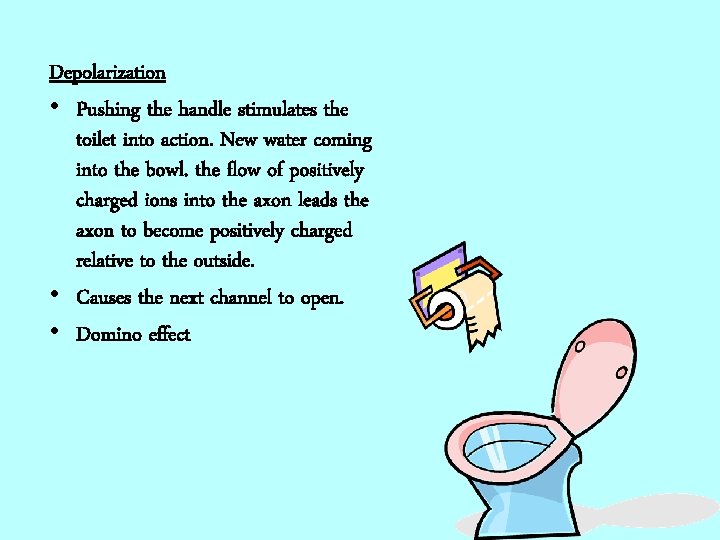 Depolarization • Pushing the handle stimulates the toilet into action. New water coming into