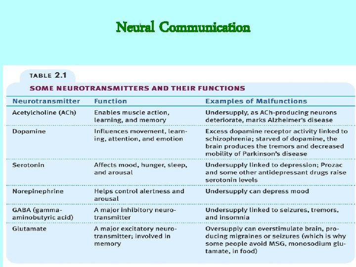 Neural Communication 