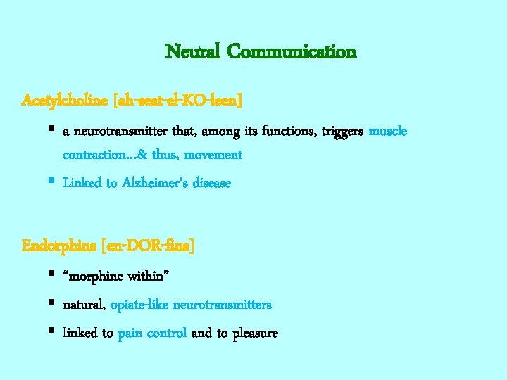Neural Communication Acetylcholine [ah-seat-el-KO-leen] § a neurotransmitter that, among its functions, triggers muscle contraction…&