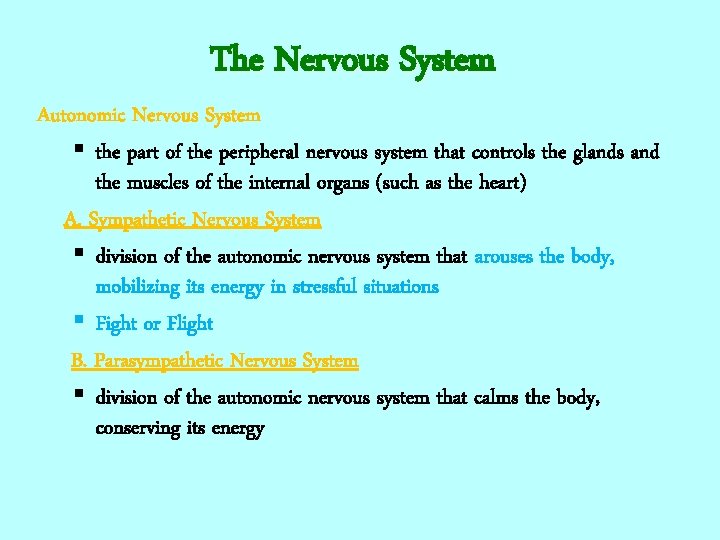 The Nervous System Autonomic Nervous System § the part of the peripheral nervous system