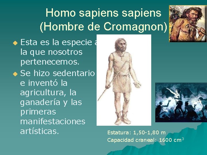 Homo sapiens (Hombre de Cromagnon) Esta es la especie a la que nosotros pertenecemos.