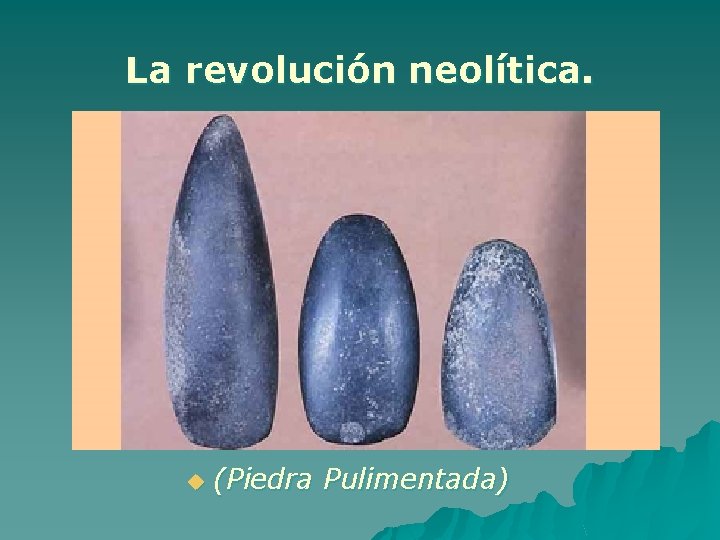 La revolución neolítica. u (Piedra Pulimentada) 