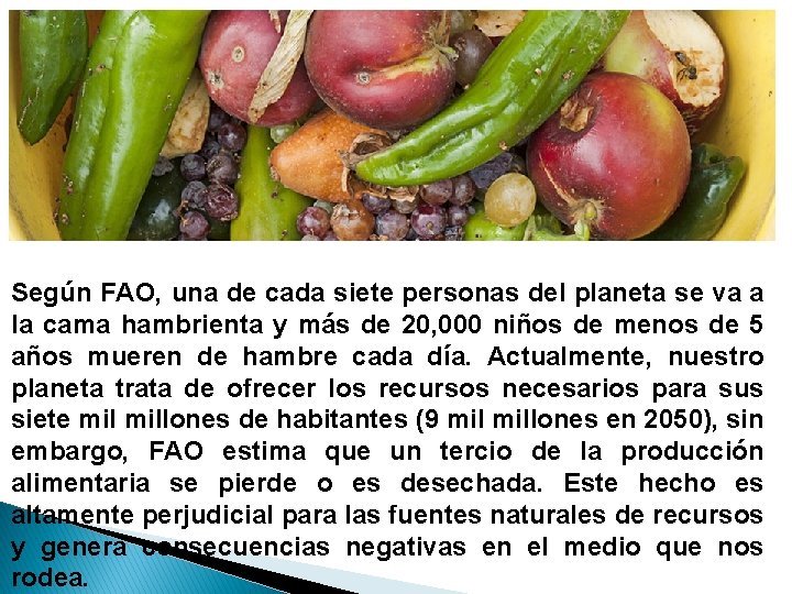 Según FAO, una de cada siete personas del planeta se va a la cama