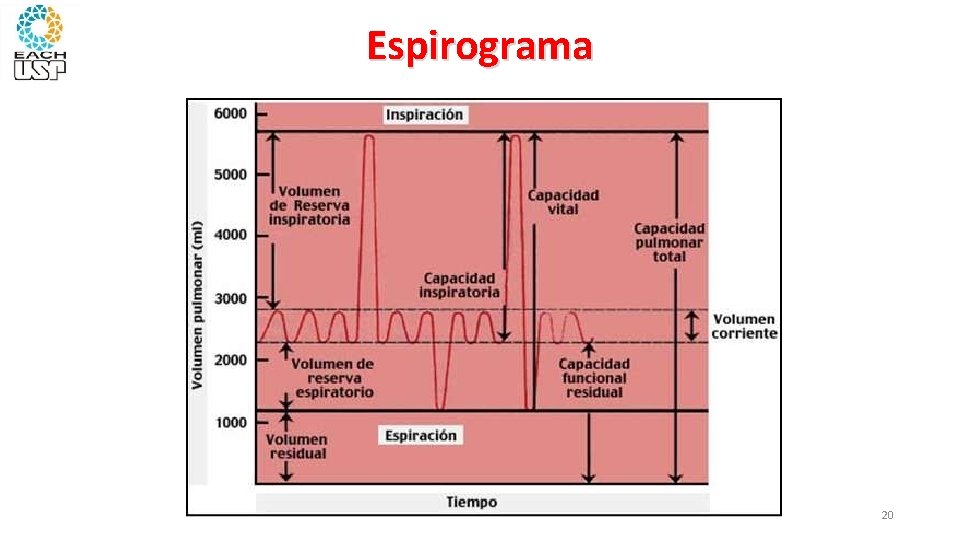 Espirograma 20 