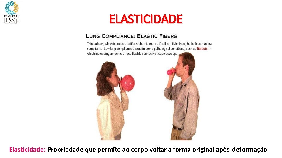 ELASTICIDADE Elasticidade: Propriedade que permite ao corpo voltar a forma original após deformação 32