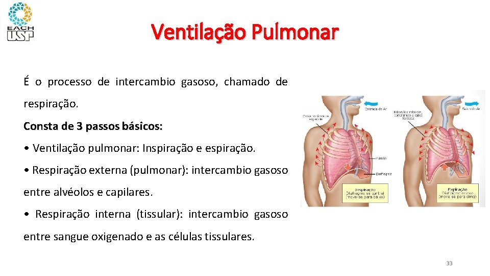 Ventilação Pulmonar É o processo de intercambio gasoso, chamado de respiração. Consta de 3