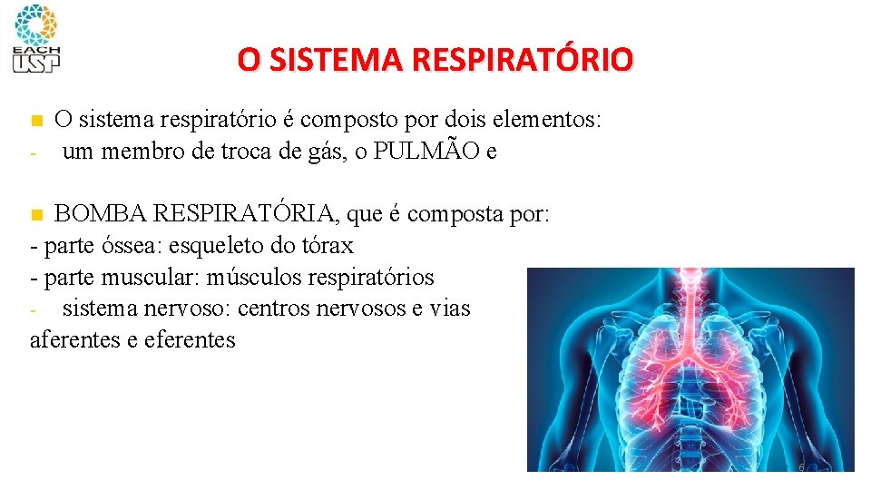 O SISTEMA RESPIRATÓRIO - O sistema respiratório é composto por dois elementos: um membro