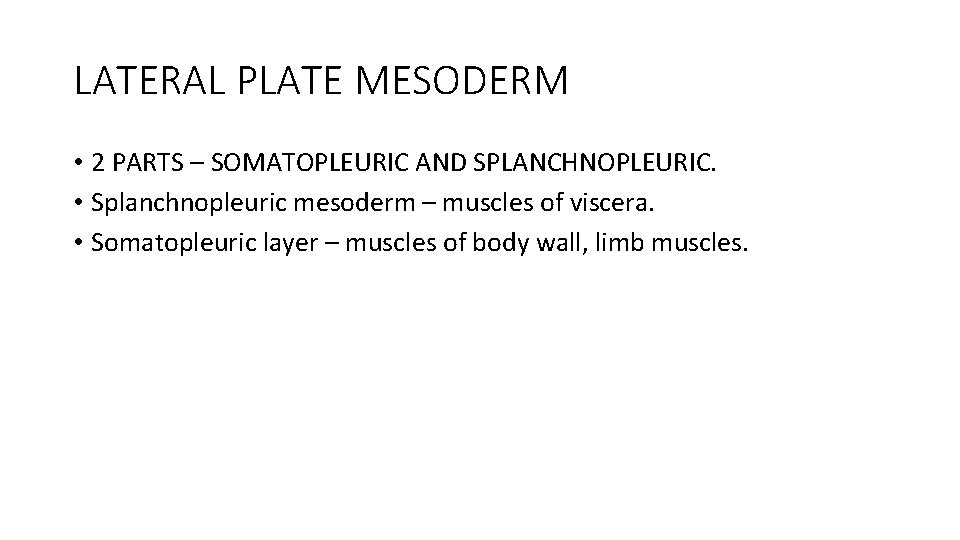 LATERAL PLATE MESODERM • 2 PARTS – SOMATOPLEURIC AND SPLANCHNOPLEURIC. • Splanchnopleuric mesoderm –