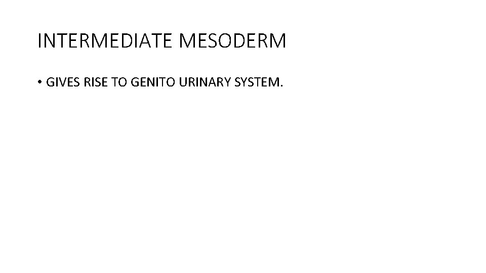 INTERMEDIATE MESODERM • GIVES RISE TO GENITO URINARY SYSTEM. 