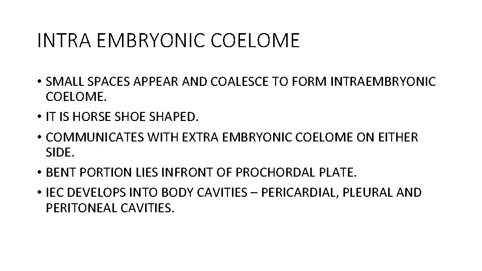 INTRA EMBRYONIC COELOME • SMALL SPACES APPEAR AND COALESCE TO FORM INTRAEMBRYONIC COELOME. •