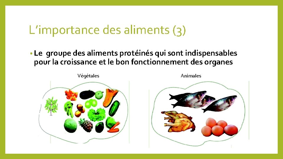 L’importance des aliments (3) • Le groupe des aliments protéinés qui sont indispensables pour