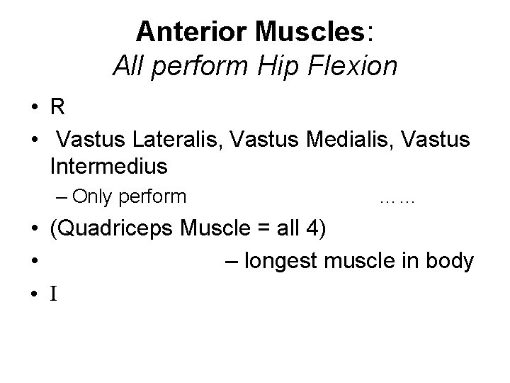 Anterior Muscles: All perform Hip Flexion • R • Vastus Lateralis, Vastus Medialis, Vastus