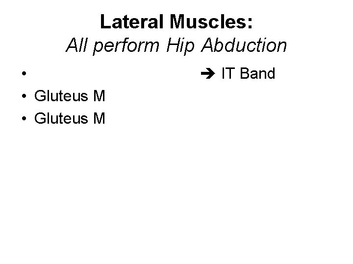 Lateral Muscles: All perform Hip Abduction • • Gluteus M IT Band 