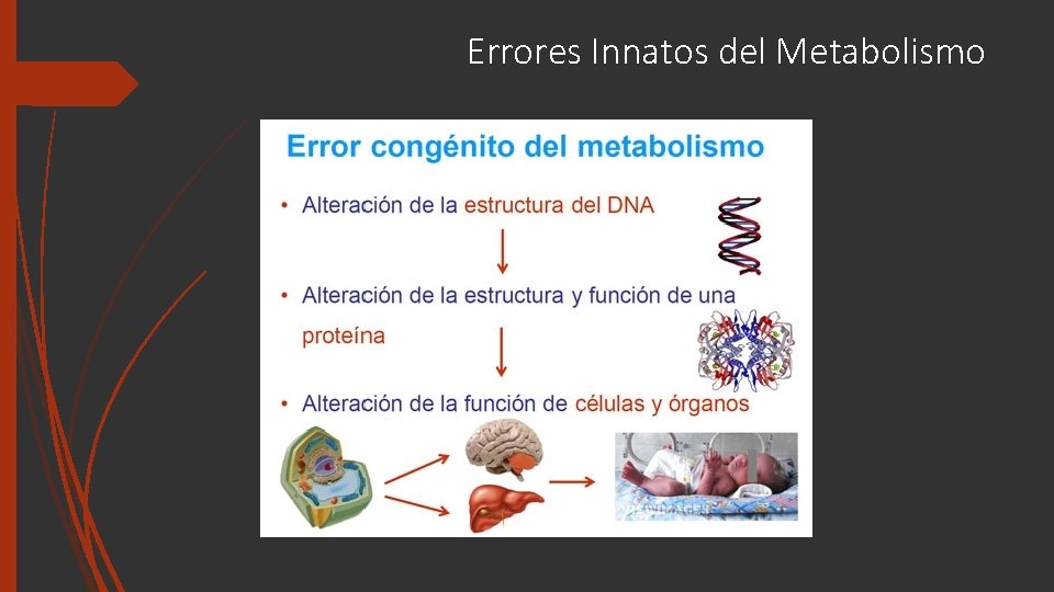 Errores Innatos del Metabolismo 