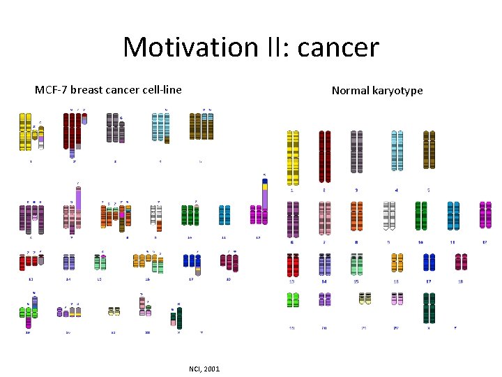 Motivation II: cancer MCF-7 breast cancer cell-line Normal karyotype NCI, 2001 