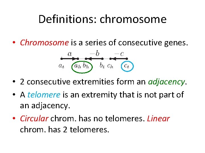 Definitions: chromosome • Chromosome is a series of consecutive genes. • 2 consecutive extremities