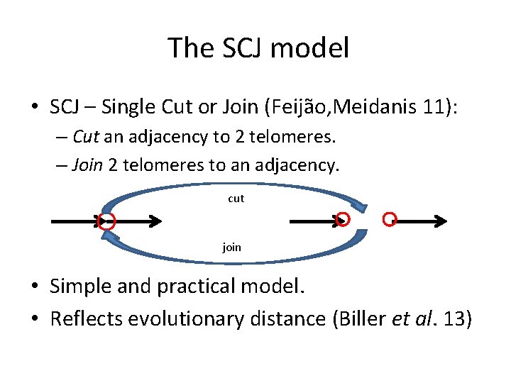 The SCJ model • SCJ – Single Cut or Join (Feijão, Meidanis 11): –