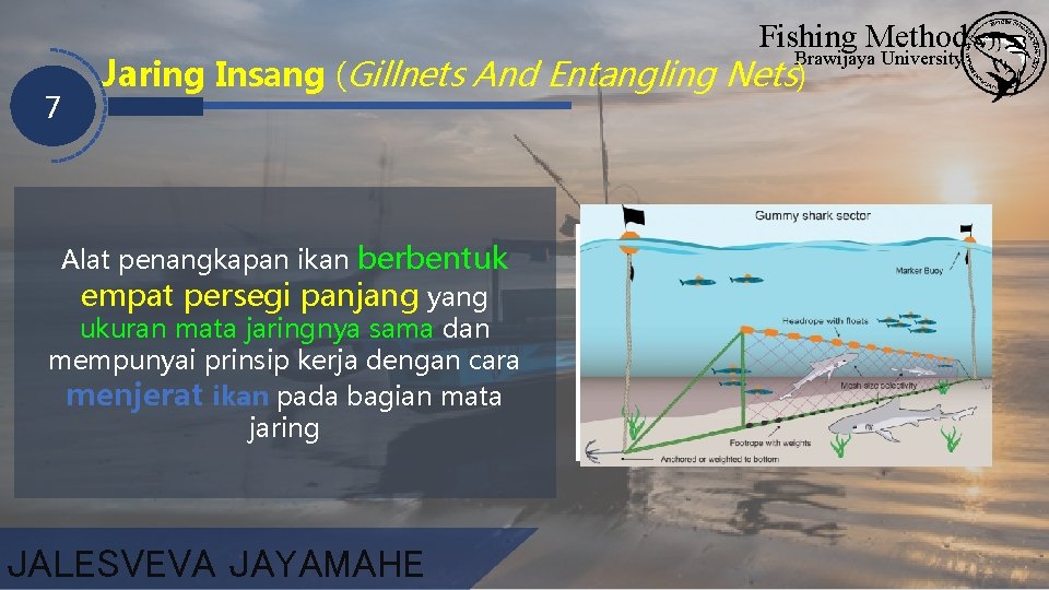 7 Fishing Method Brawijaya University Jaring Insang (Gillnets And Entangling Nets) Alat penangkapan ikan