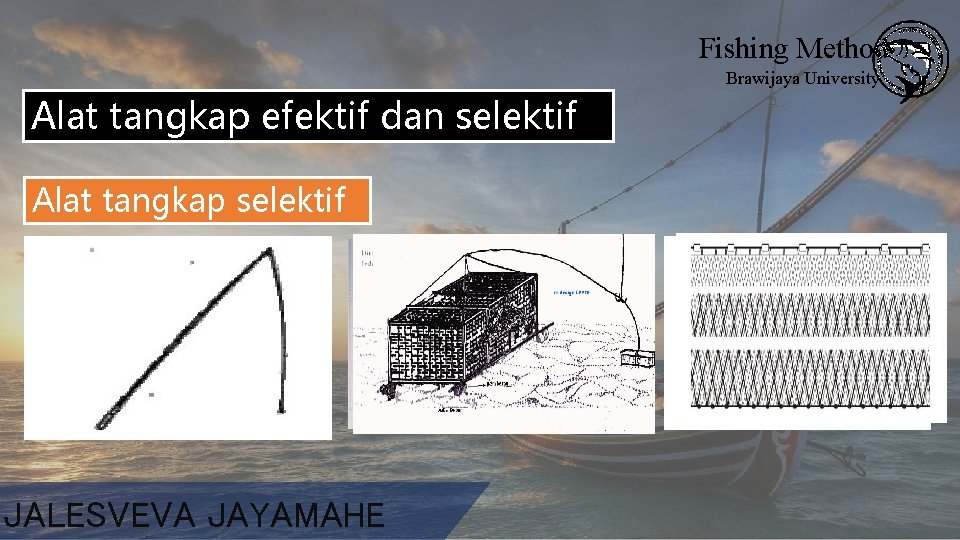 Fishing Method Brawijaya University Alat tangkap efektif dan selektif Alat tangkap efektif selektif JALESVEVA