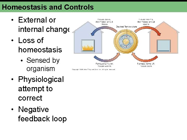 Homeostasis and Controls • External or internal change • Loss of homeostasis • Sensed