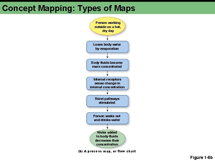 Concept Mapping: Types of Maps Person working outside on a hot, dry day Loses