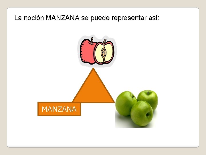 La noción MANZANA se puede representar así: MANZANA 