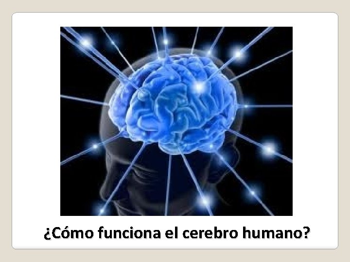 Teoría Neuro Psicológica ¿Cómo funciona el cerebro humano? 