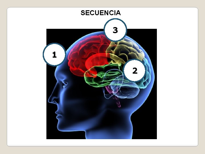 SECUENCIA 3 Teoría Neuro Psicológica 1 2 