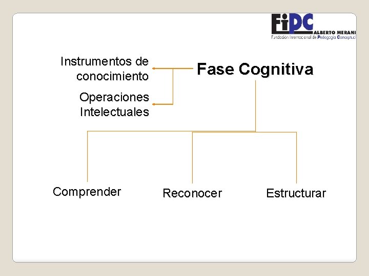 Instrumentos de conocimiento Fase Cognitiva Operaciones Intelectuales Comprender Reconocer Estructurar 