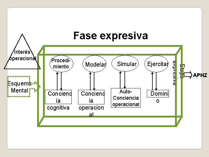 Fase expresiva Esquema Mental Procedimiento Concienc ia cognitiva Modelar Concienc ia operacion al Simular