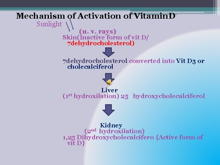 Mechanism of Activation of Vitamin. D Sunlight (u. v. rays) Skin(Inactive form of vit