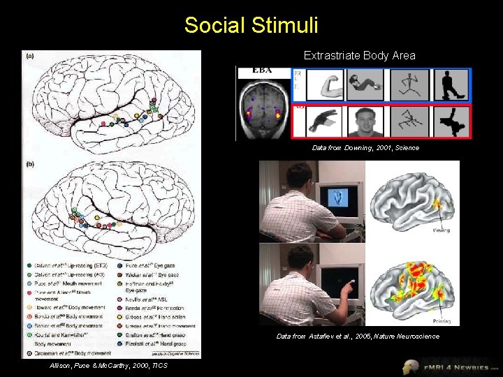 Social Stimuli Extrastriate Body Area Data from Downing, 2001, Science Data from Astafiev et