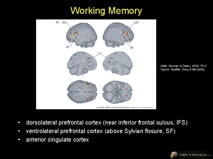 Working Memory Data: Duncan & Owen, 2000, TICS Figure: Huettel, Song & Mc. Carthy