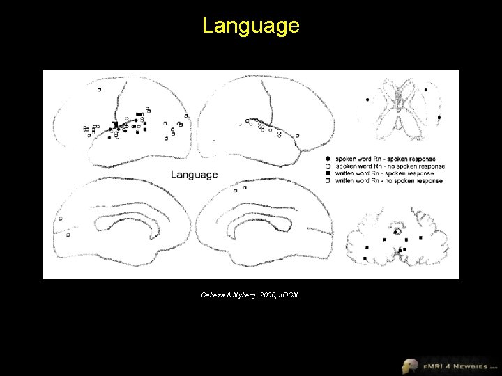 Language Cabeza & Nyberg, 2000, JOCN 