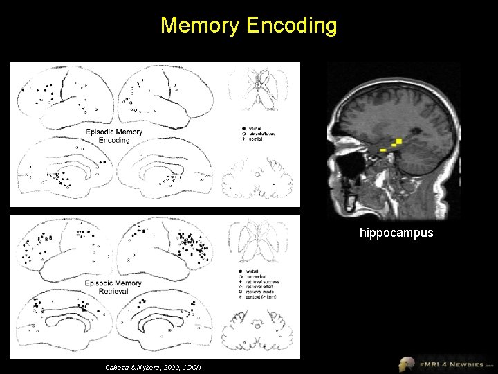 Memory Encoding hippocampus Cabeza & Nyberg, 2000, JOCN 