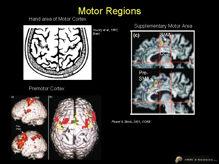 Motor Regions Hand area of Motor Cortex Yousry et al, 1997, Brain Supplementary Motor