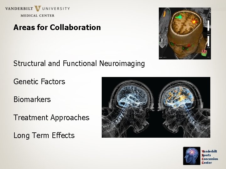 Areas for Collaboration Structural and Functional Neuroimaging Genetic Factors Biomarkers Treatment Approaches Long Term