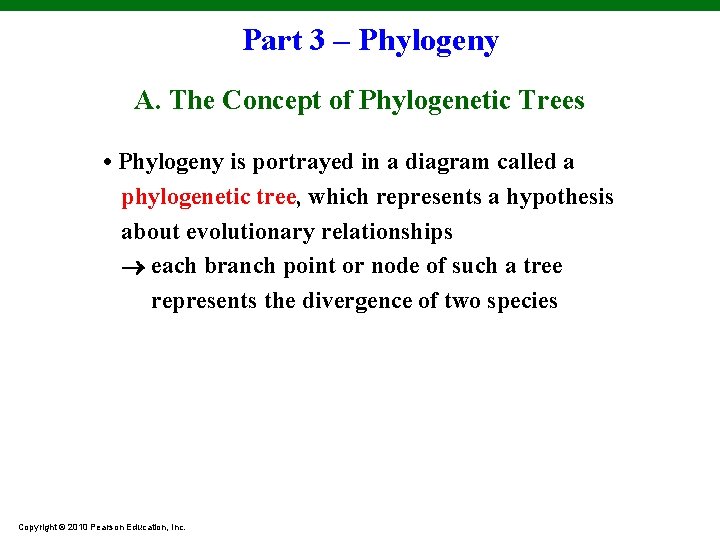 Part 3 – Phylogeny A. The Concept of Phylogenetic Trees • Phylogeny is portrayed