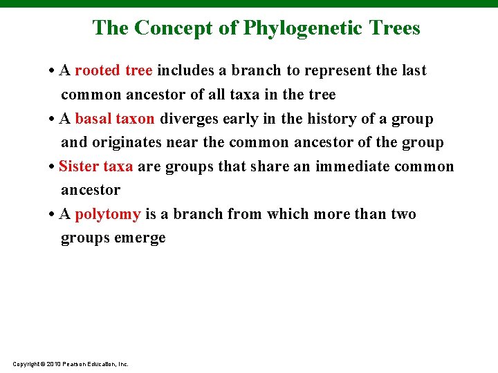 The Concept of Phylogenetic Trees • A rooted tree includes a branch to represent