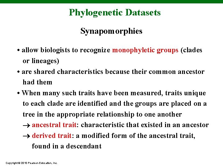 Phylogenetic Datasets Synapomorphies • allow biologists to recognize monophyletic groups (clades or lineages) •