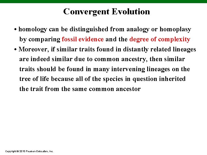 Convergent Evolution • homology can be distinguished from analogy or homoplasy by comparing fossil