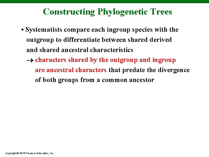 Constructing Phylogenetic Trees • Systematists compare each ingroup species with the outgroup to differentiate