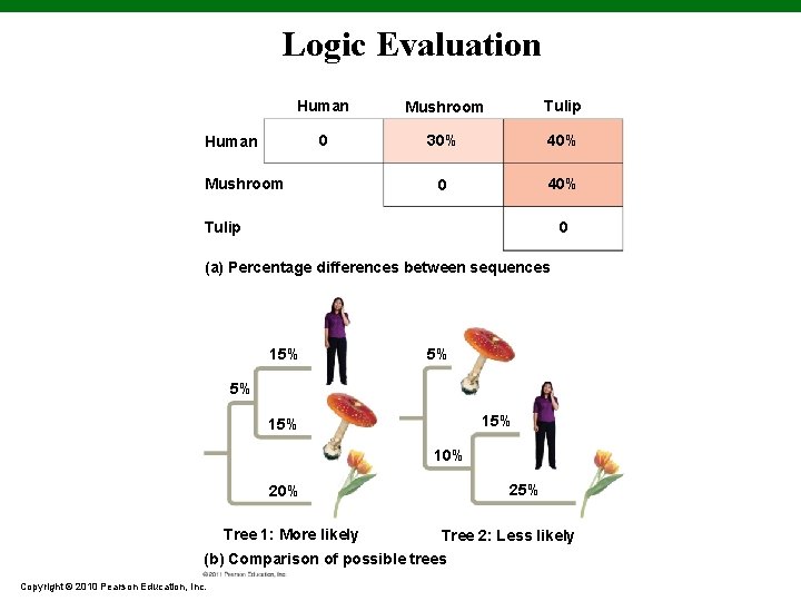 Logic Evaluation Human Mushroom Tulip 0 30% 40% 0 40% Human Mushroom Tulip 0