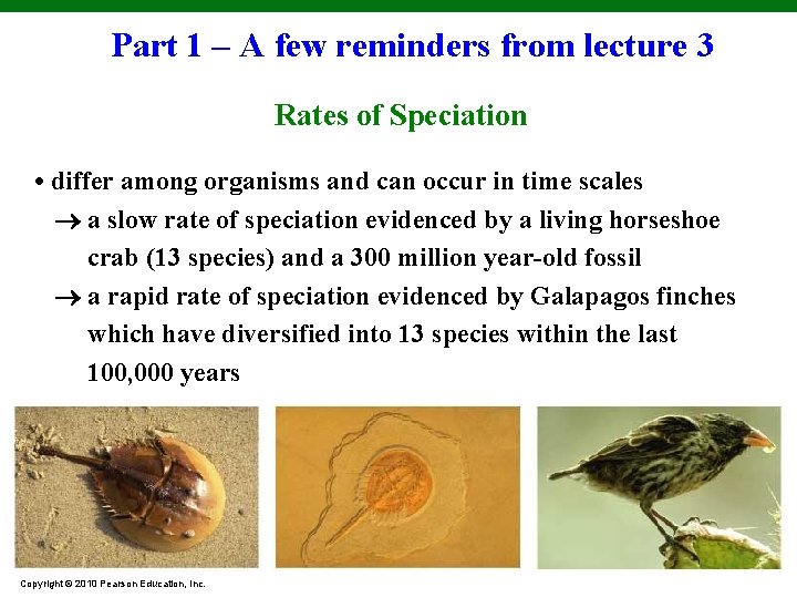 Part 1 – A few reminders from lecture 3 Rates of Speciation • differ