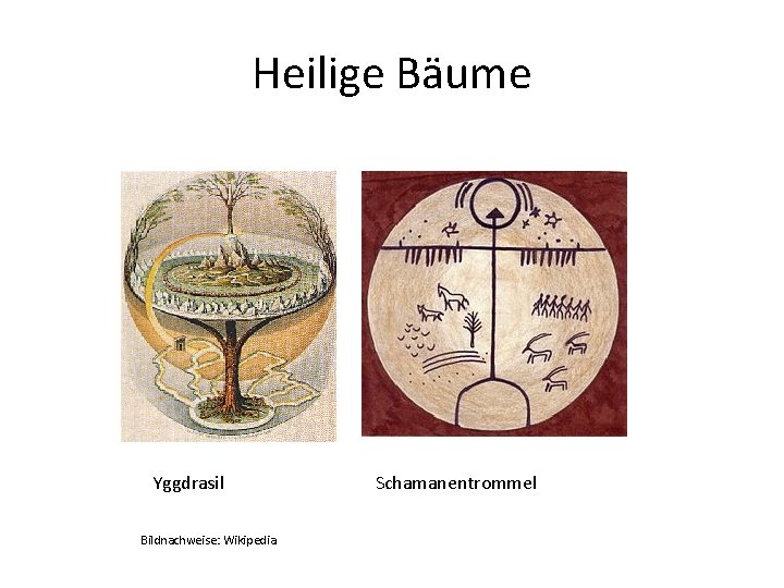 Heilige Bäume Yggdrasil Bildnachweise: Wikipedia Schamanentrommel 