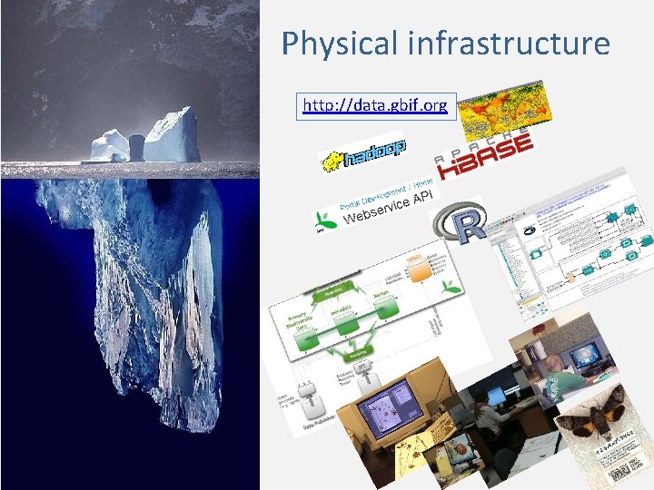 Physical infrastructure http: //data. gbif. org 