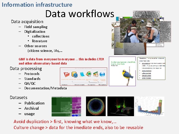 Information infrastructure Data acquisition Data workflows – Field sampling – Digitalization • collections •