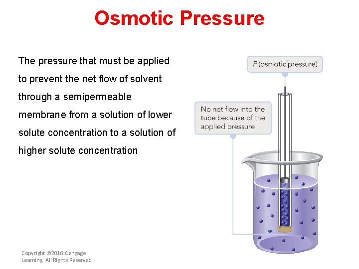 Osmotic Pressure The pressure that must be applied to prevent the net flow of